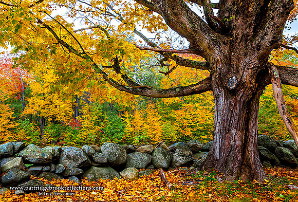 151022BorderColorMarlboroughNH