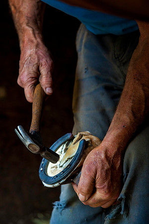 Farrier's Touch, Marlborough, NH