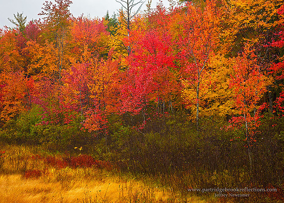 151009SaturatedOctoberChesterfieldNH
