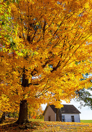 151024UnderGoldChesterfieldNH