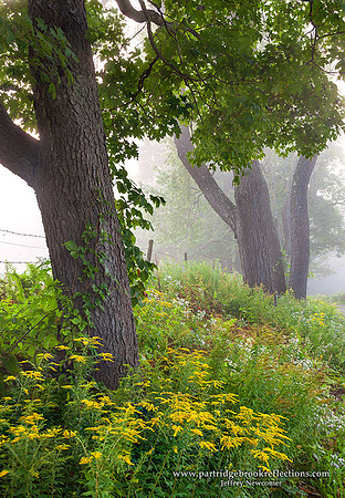 150903OnTheEdgeChesterfieldNH