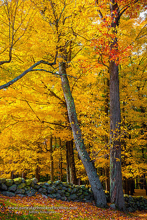 151024StoneEdgedAutumnChesterfieldNH