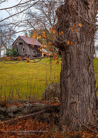 151107UpToTheBarnChesterfieldNH