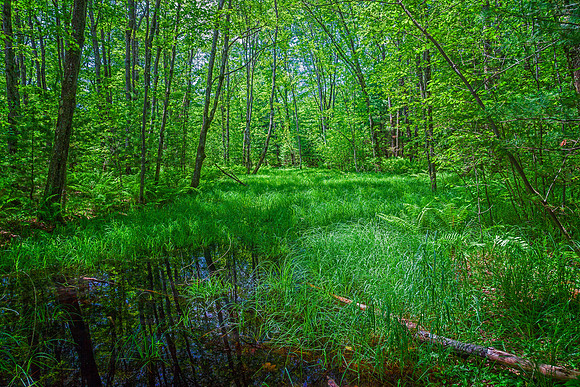 Backwater, Keene, NH
