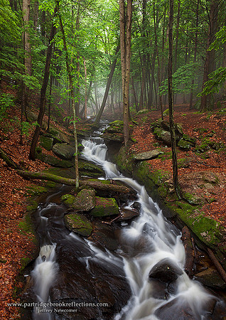 Tumble, Chesterfield Gorge, NH