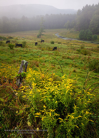150903PastureHollowChesterfieldNHC