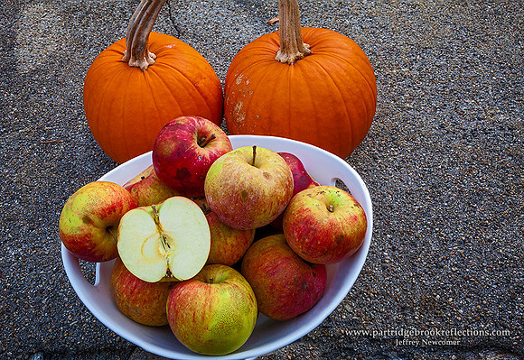 151107MacounHarvestSpoffordNH - Copy - Copy