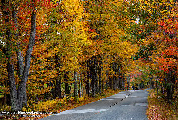 221010SullivanAutumnRoadSullivanNH