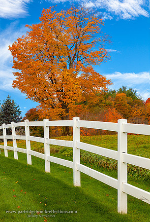 151024PennedGoldChesterfieldNH - Copy - Copy