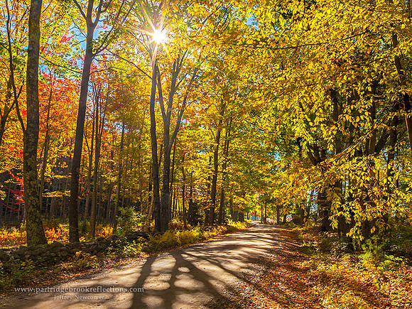 151012AutumnLightChesterfieldNH - Copy