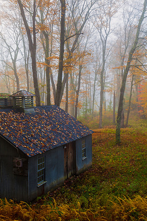 Forest Shack Marlborough, NH