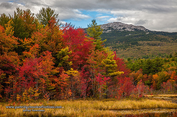 Swamp Color, Troy, NH