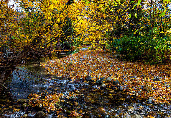151015BroadBrookBankGuilfordVt - Copy - Copy
