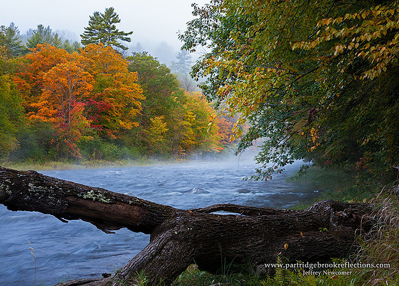 Misty Brook, Jamaca, Vt