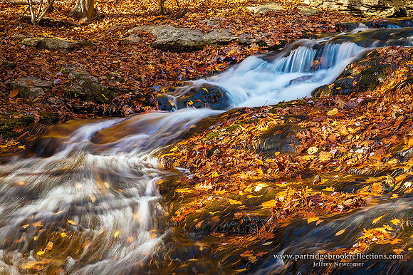 pauchaug Brook Cascade, Northfield, Ma