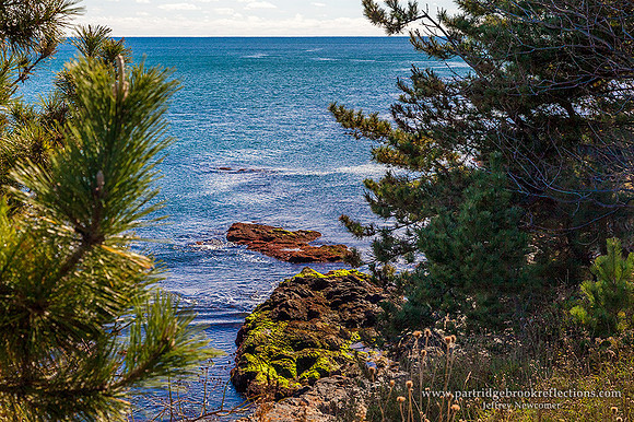 151026CliffWalkRocksNewportRI