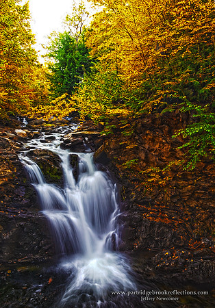 Catsbane Falls Color, West Chesterfield, NH