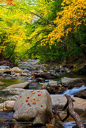 151003NorthBranchCascadeReadingVt - Copy