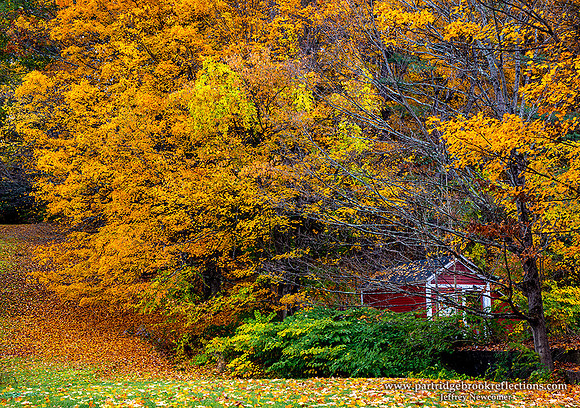 221016RedShackSpoffordNH