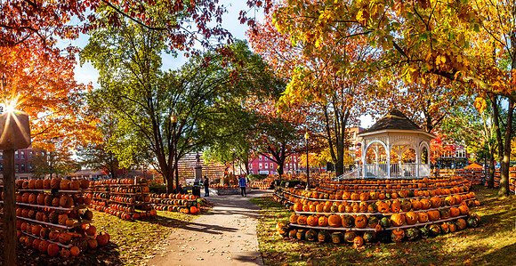 Central Square Festival, Keene, NH