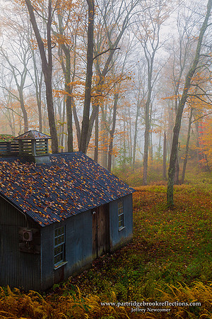 Forest Shack, Marlborough, NH
