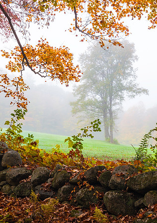 Pasture Sentinel,Chesterfield, New Hampshire