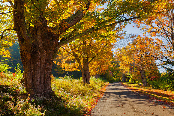 Poocham Color, Westmoreland, NH