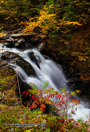 Catsbane Colors, West Chesterfield, NH