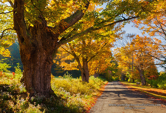Poocham Color, Westmoreland, NH