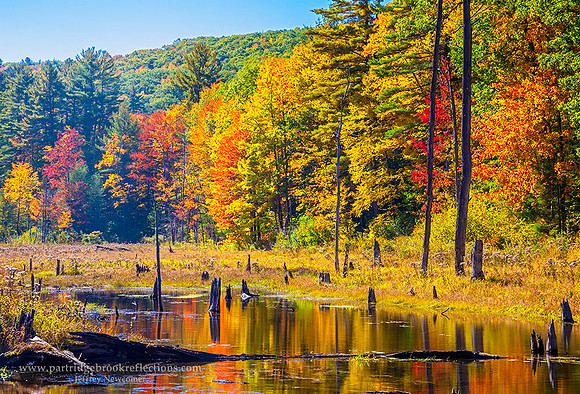 151012BeaverPondAutumnChesterfieldNH - Copy - Copy