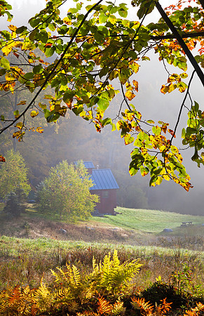 Hillside Shack, Londonderry, Vt
