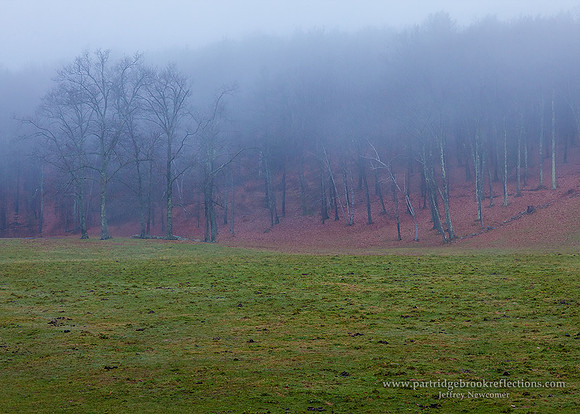 151112RisingMistChesterfieldNH - Copy - Copy