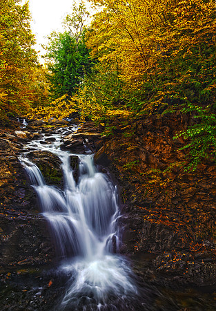 Catsbane Gold, West Chesterfield, New Hampshire