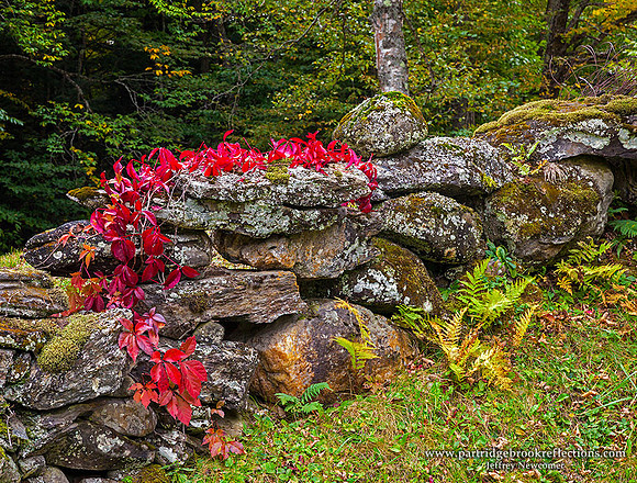 151003RedWallReadingVt - Copy