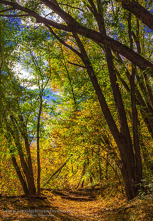151015GoldenGatewayKeeneNH - Copy - Copy