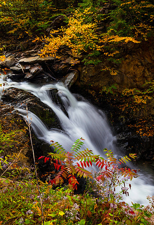 Catsbane Colors, West Chesterfield, New Hampshire