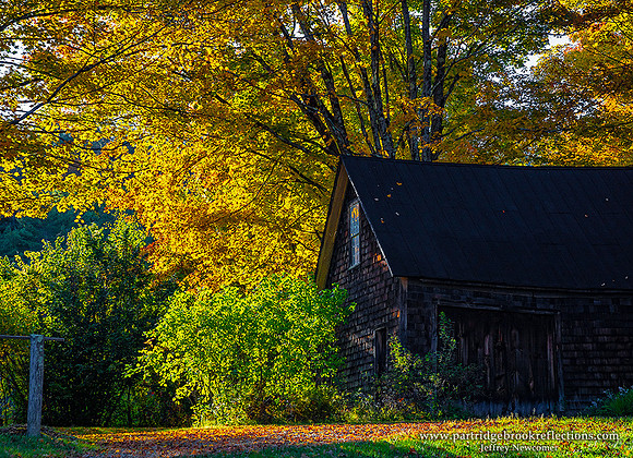 221006BarnBoardGoldDummerstonVt