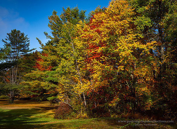 221015ChannelCoverSpoffordNH
