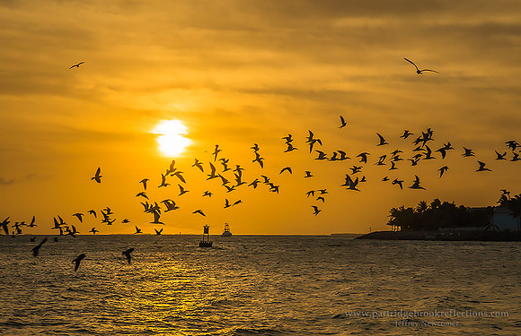 Sunset Mallory Square