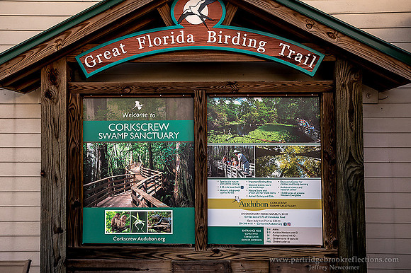 Corkscrew Sanctuary Swamp
