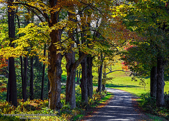 221006GoldenCurveChesterfieldNH