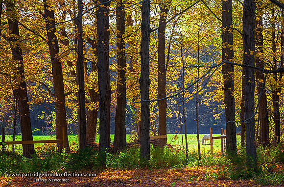 Pasture Light, Northfield, NH