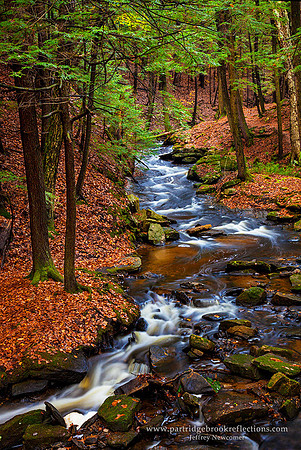 Autumn Flood, Chesterfield, NH
