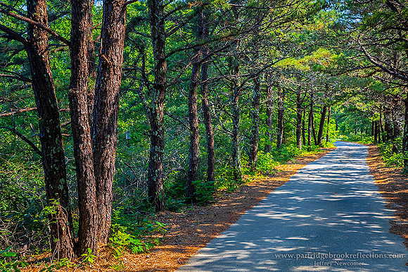 180702CharlesNeckHighwayWestTisburyMa