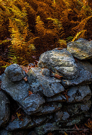 171014GoldenWallPutneyVt