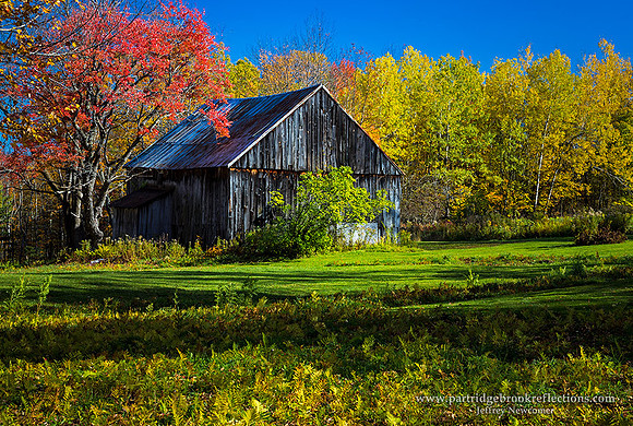 171021AutumnAfternoonDummerstonVt