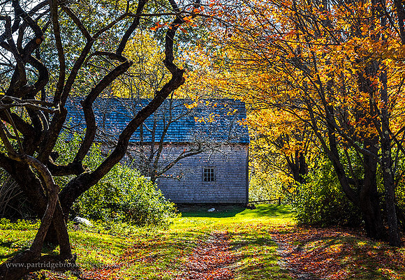 171021AutumnContrastChesterfieldNH