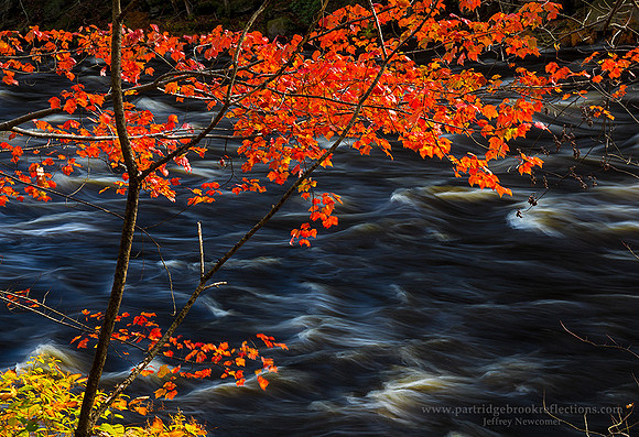 171928RiverRedHinsdaleNH