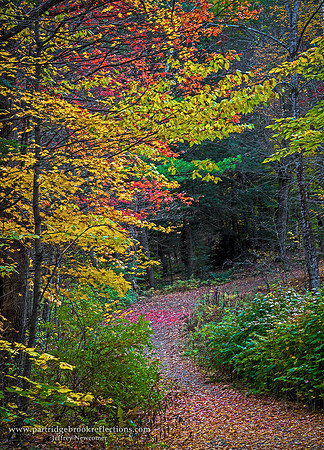 1710231HillTopTrailKeeneNH