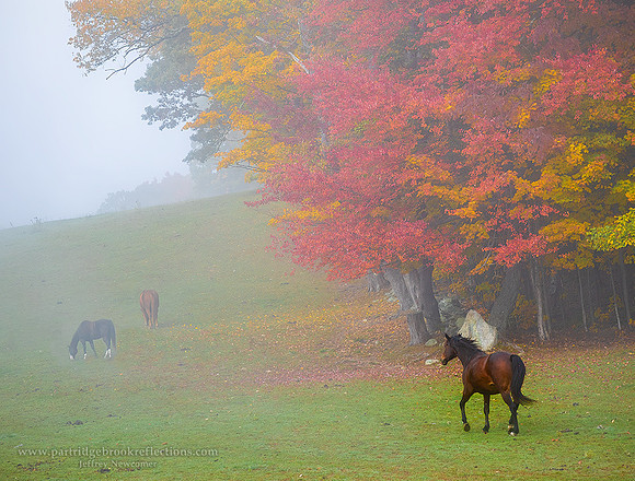 221011CatchUpChesterfieldNH